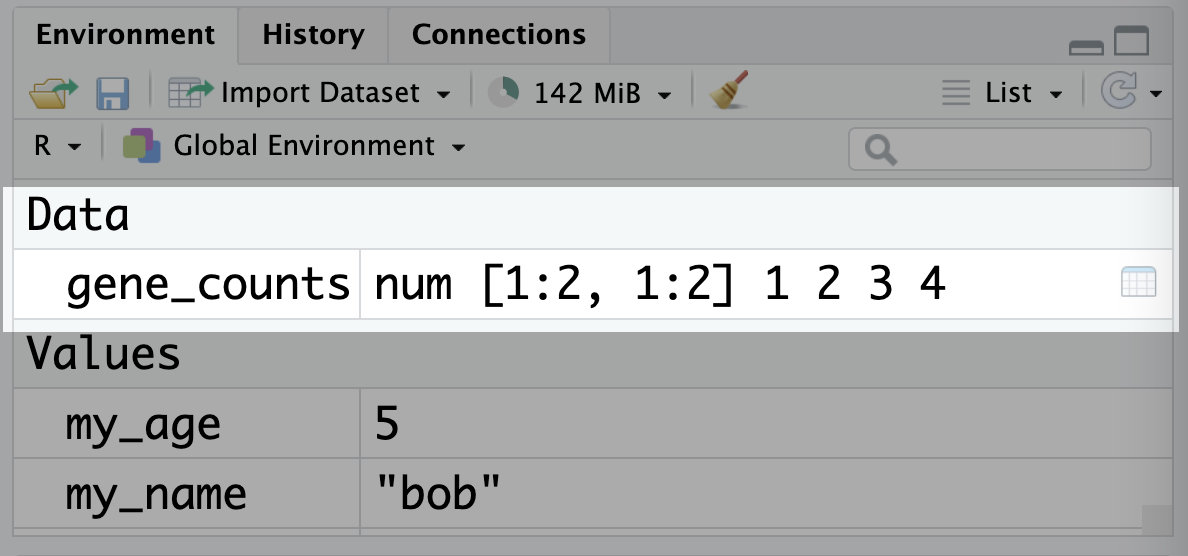 Matrices show up in the environmen panel